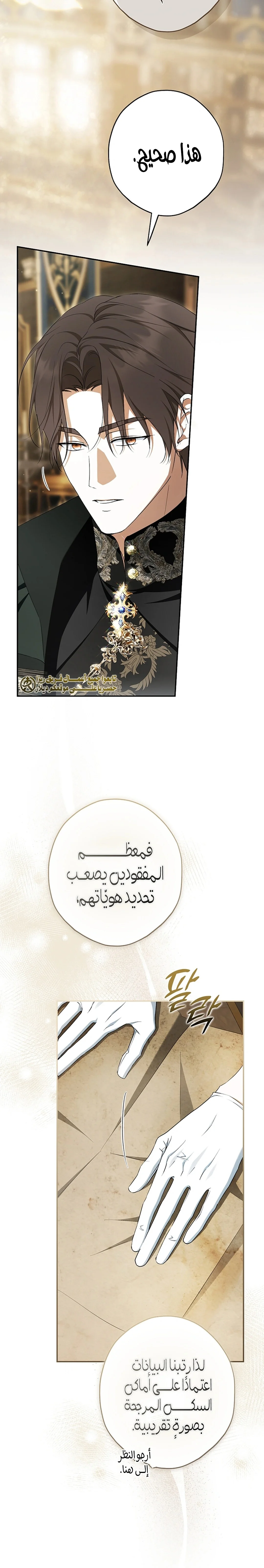Read The Male Leads Were Stolen By The Extra AR Manga Online