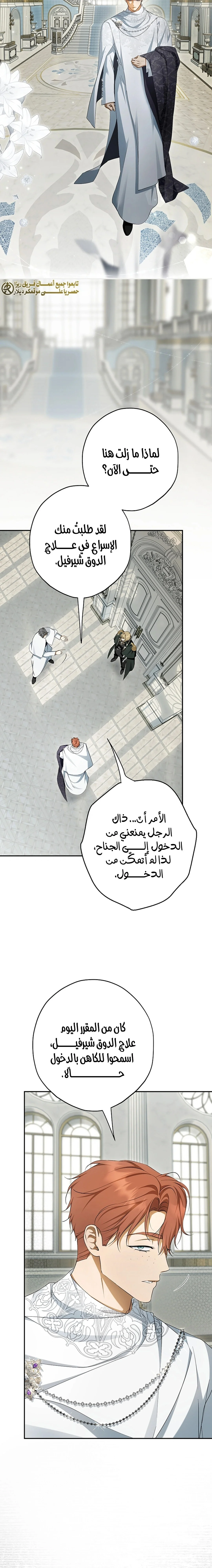 Read The Male Leads Were Stolen By The Extra AR Manga Online