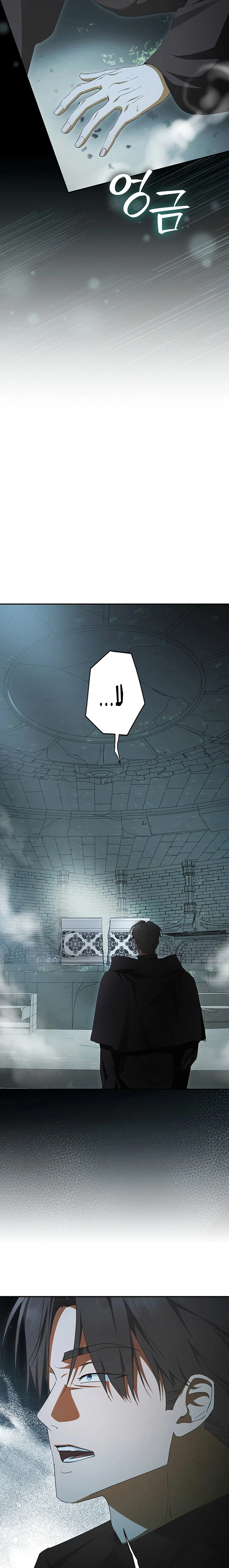 Read The Male Leads Were Stolen By The Extra AR Manga Online