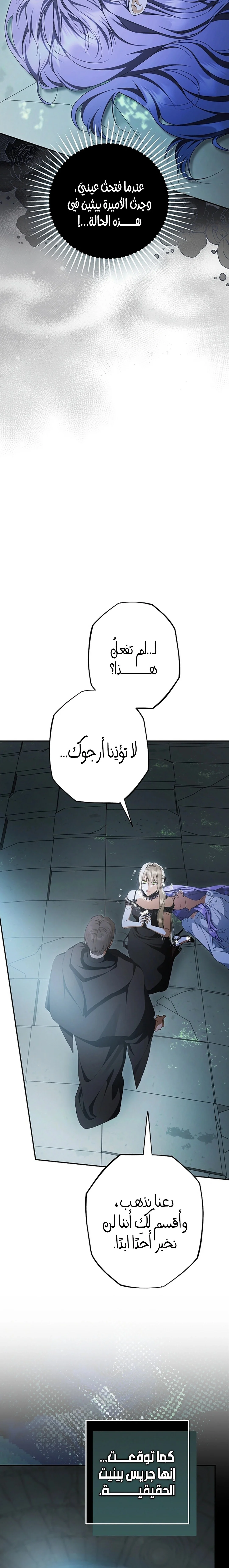 Read The Male Leads Were Stolen By The Extra AR Manga Online