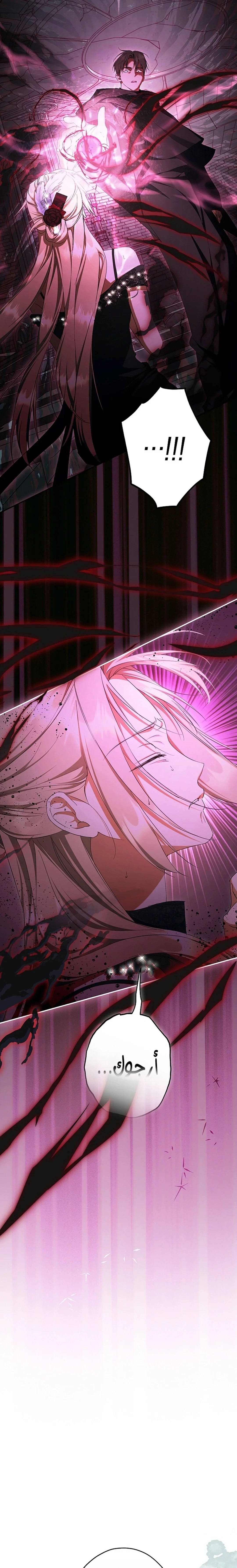 Read The Male Leads Were Stolen By The Extra AR Manga Online