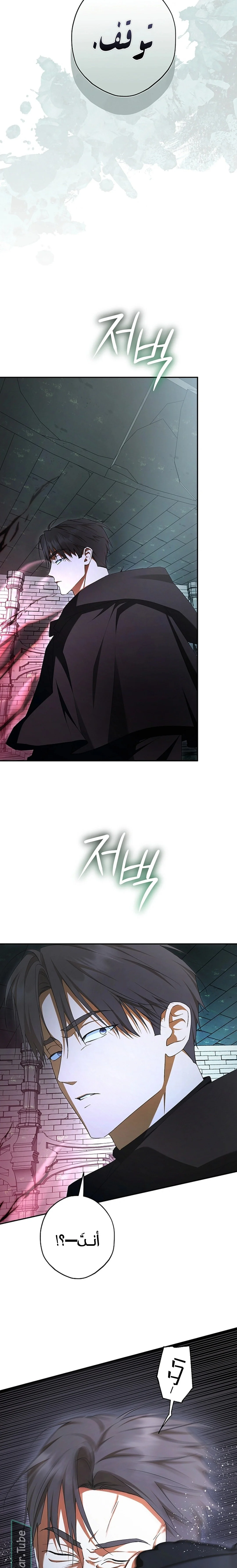 Read The Male Leads Were Stolen By The Extra AR Manga Online