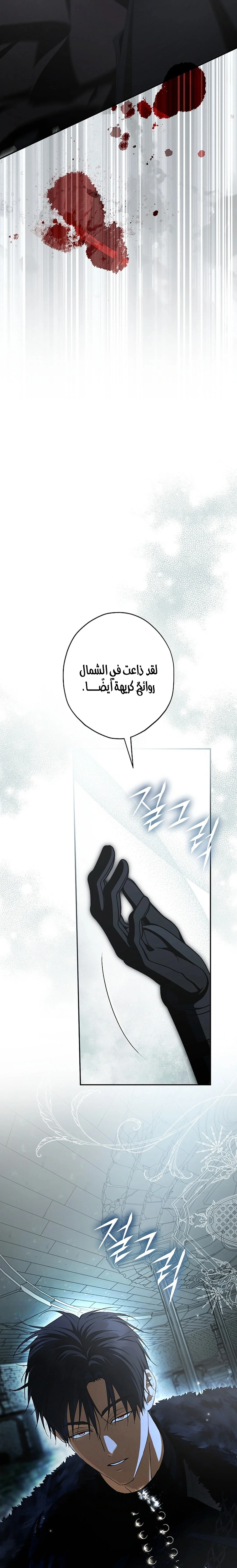 Read The Male Leads Were Stolen By The Extra AR Manga Online