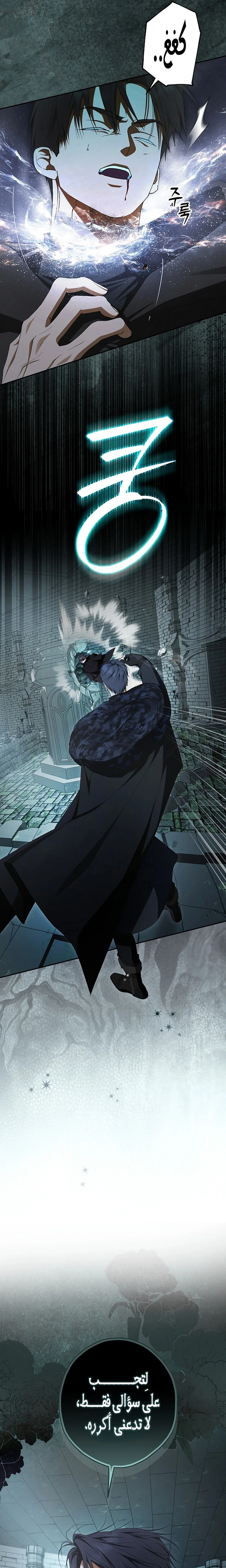 Read The Male Leads Were Stolen By The Extra AR Manga Online