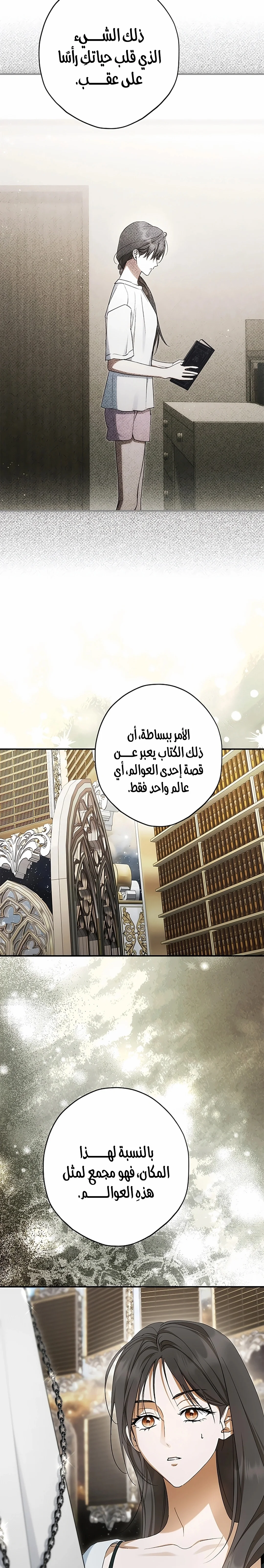 Read The Male Leads Were Stolen By The Extra AR Manga Online
