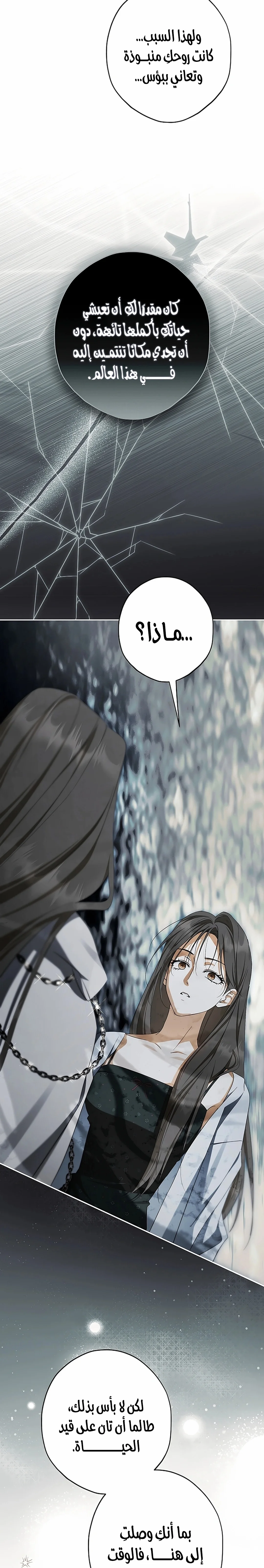 Read The Male Leads Were Stolen By The Extra AR Manga Online