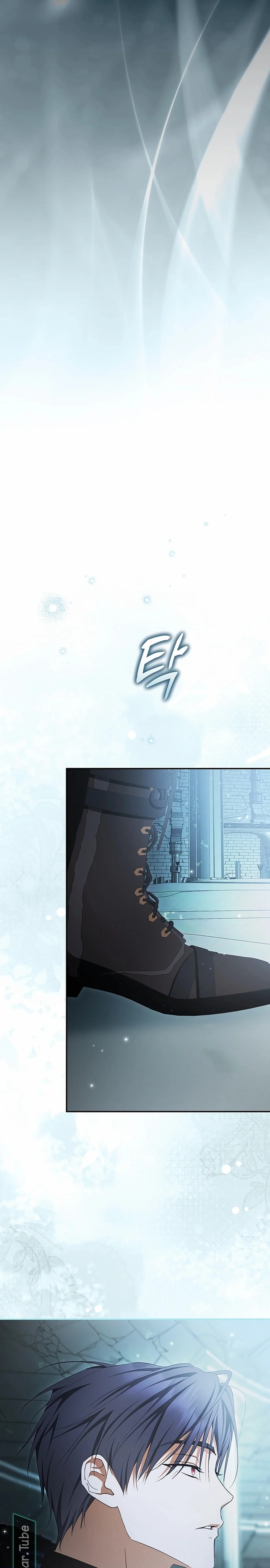 Read The Male Leads Were Stolen By The Extra AR Manga Online