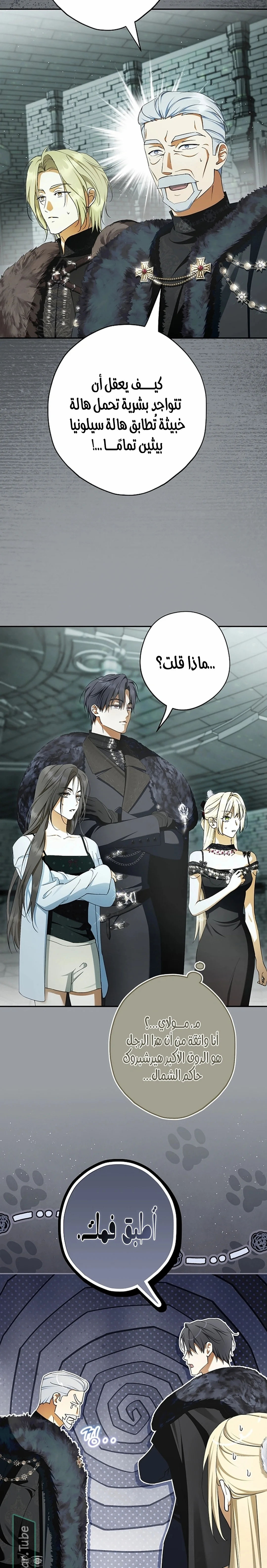 Read The Male Leads Were Stolen By The Extra AR Manga Online