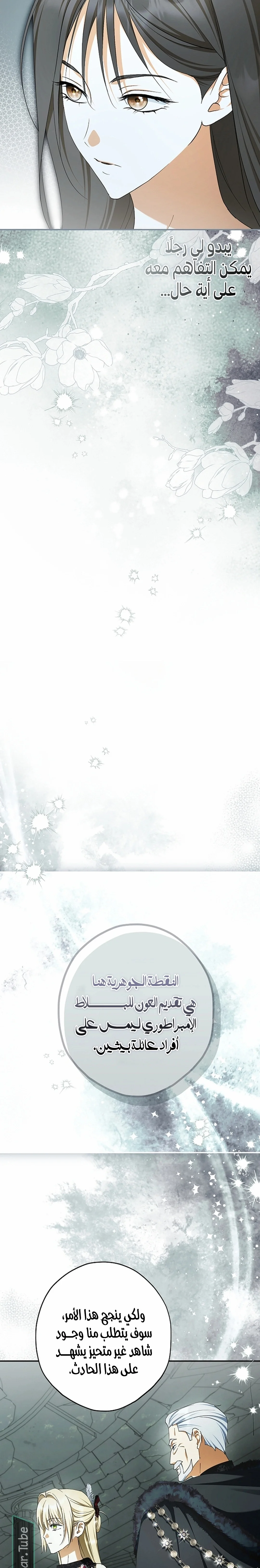 Read The Male Leads Were Stolen By The Extra AR Manga Online