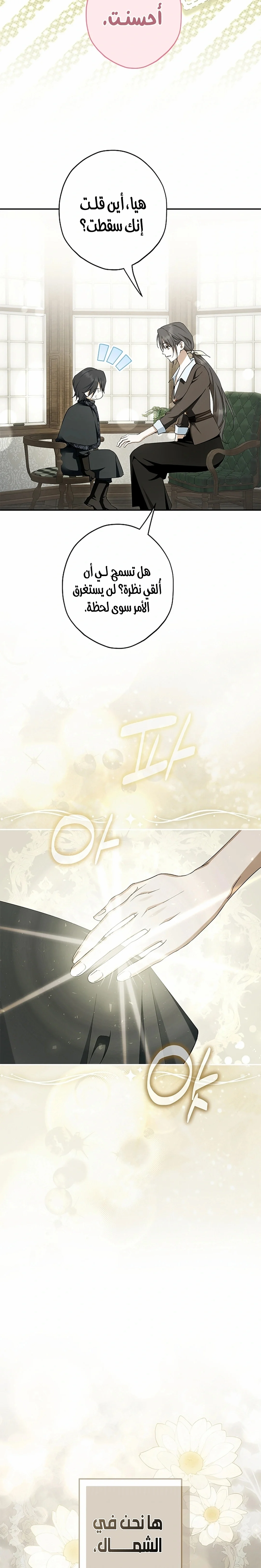 Read The Male Leads Were Stolen By The Extra AR Manga Online