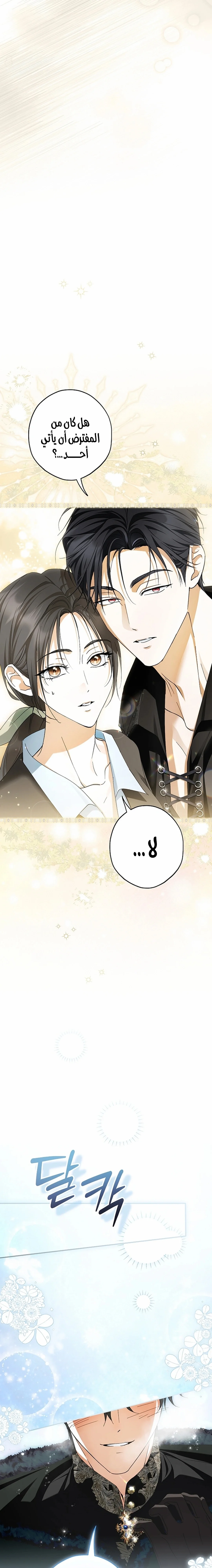 Read The Male Leads Were Stolen By The Extra AR Manga Online