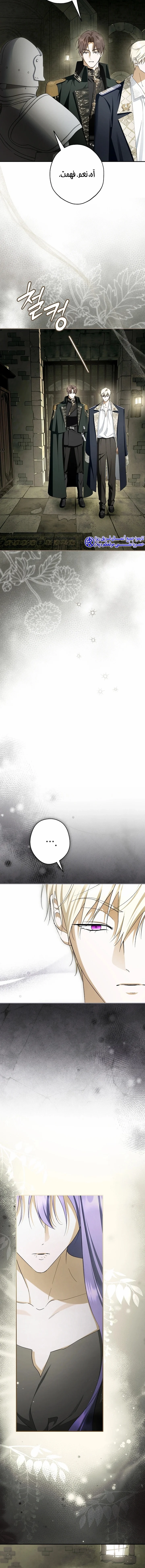 Read The Male Leads Were Stolen By The Extra AR Manga Online
