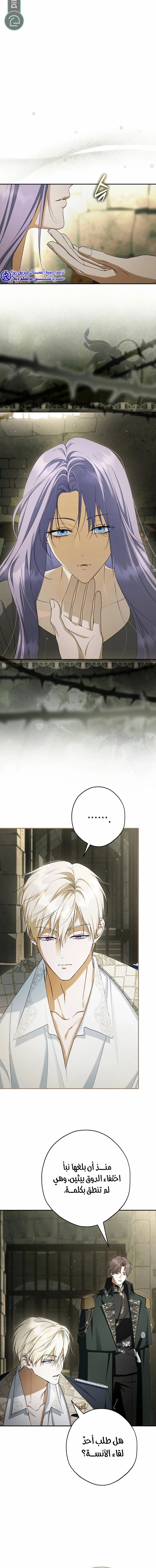 Read The Male Leads Were Stolen By The Extra AR Manga Online