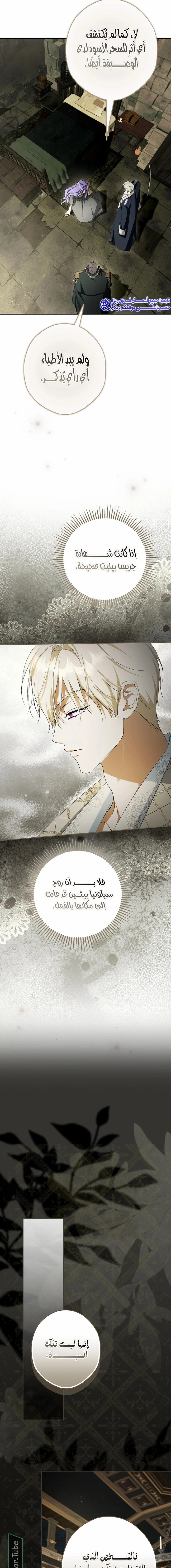 Read The Male Leads Were Stolen By The Extra AR Manga Online