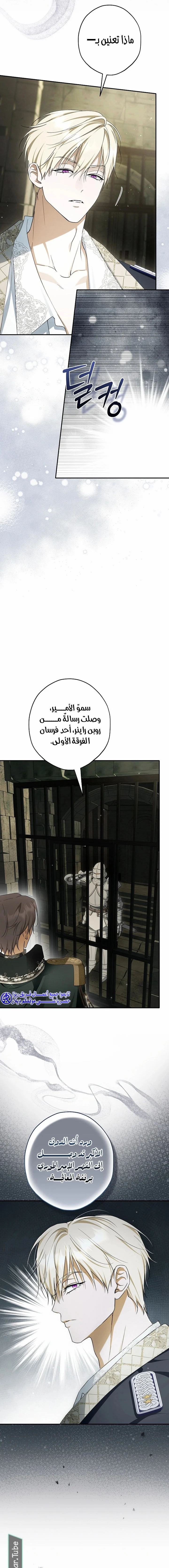 Read The Male Leads Were Stolen By The Extra AR Manga Online