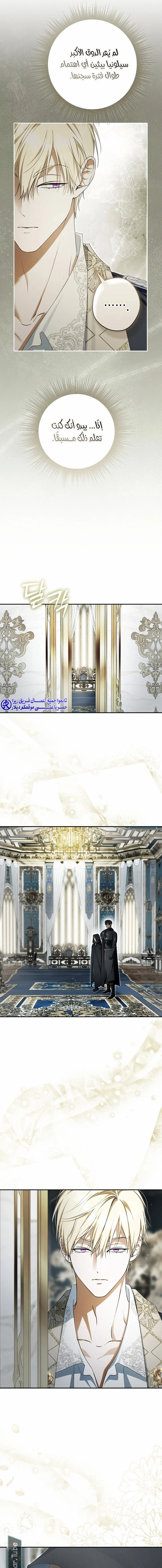 Read The Male Leads Were Stolen By The Extra AR Manga Online