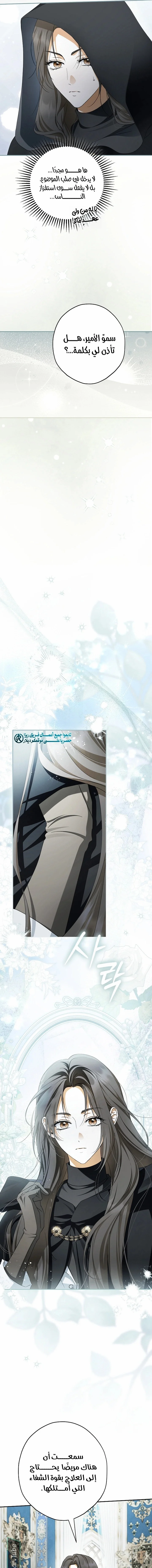 Read The Male Leads Were Stolen By The Extra AR Manga Online