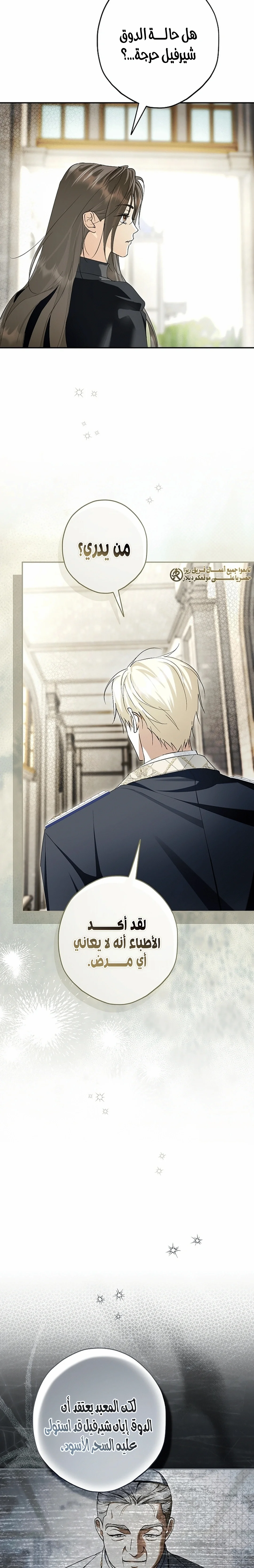 Read The Male Leads Were Stolen By The Extra AR Manga Online