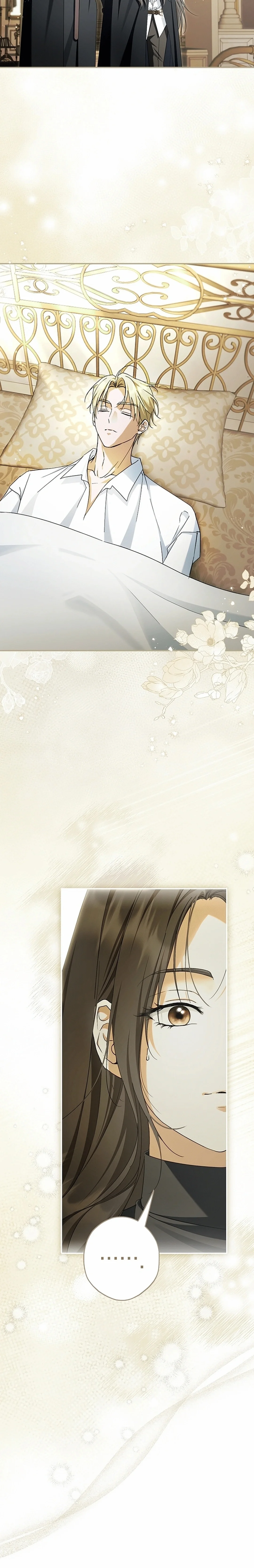 Read The Male Leads Were Stolen By The Extra AR Manga Online