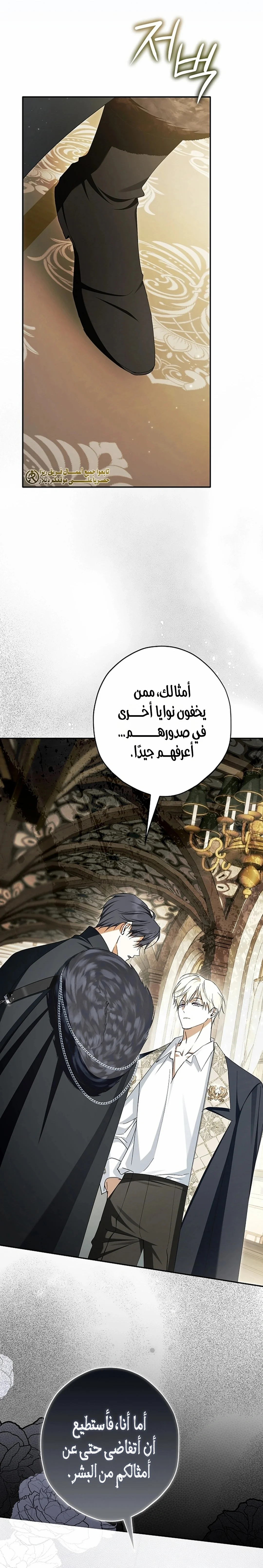 Read The Male Leads Were Stolen By The Extra AR Manga Online
