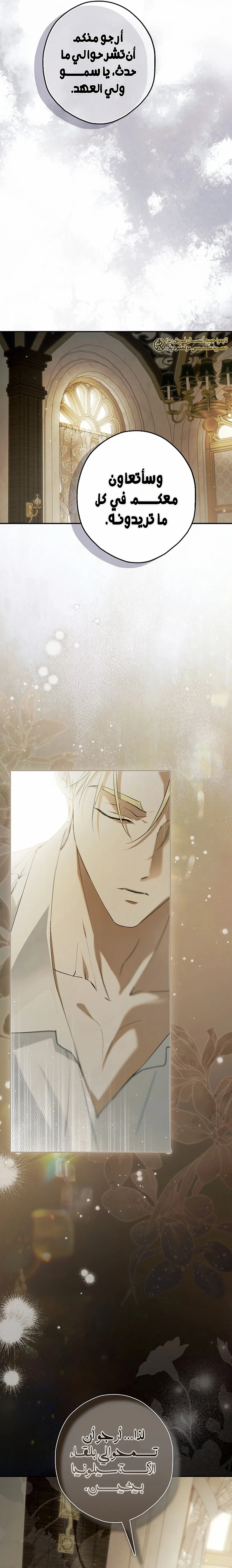 Read The Male Leads Were Stolen By The Extra AR Manga Online