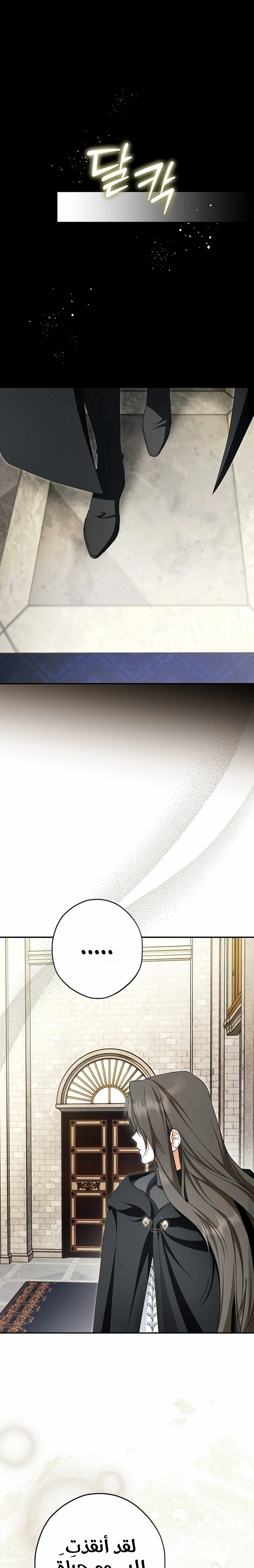 Read The Male Leads Were Stolen By The Extra AR Manga Online