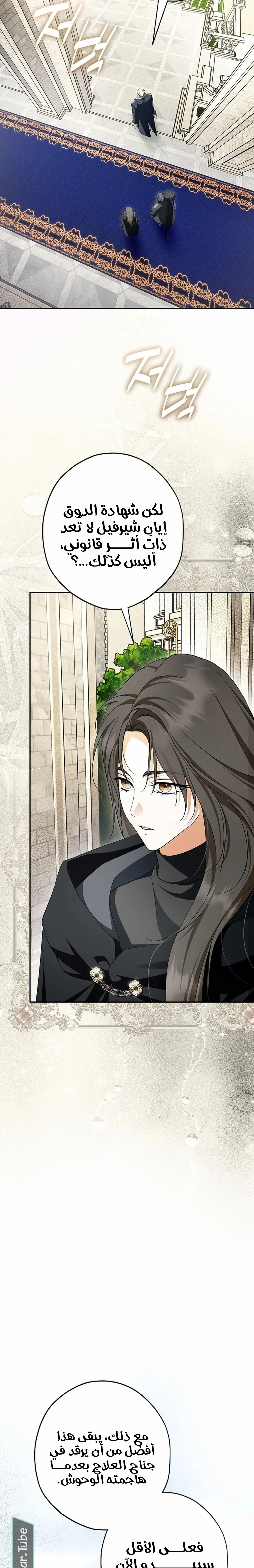 Read The Male Leads Were Stolen By The Extra AR Manga Online