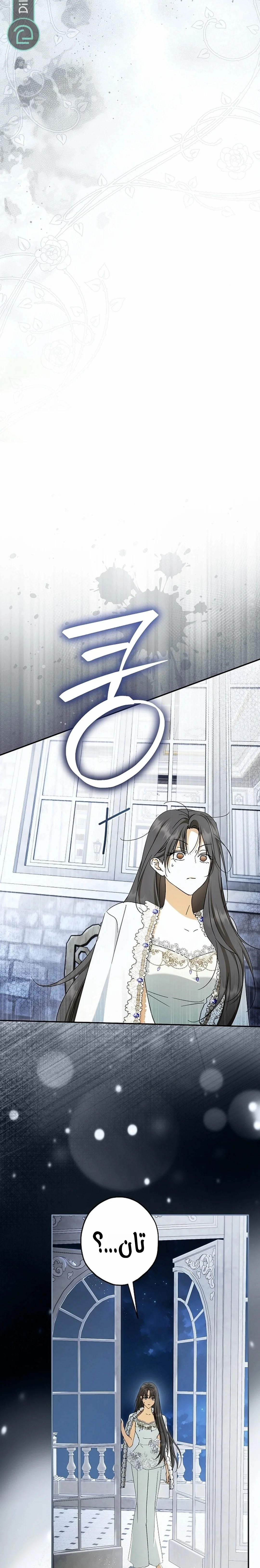 Read The Male Leads Were Stolen By The Extra AR Manga Online