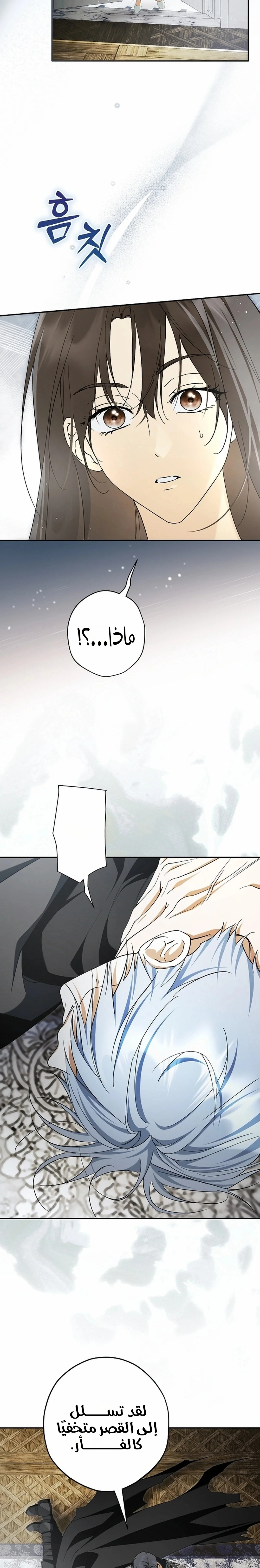 Read The Male Leads Were Stolen By The Extra AR Manga Online