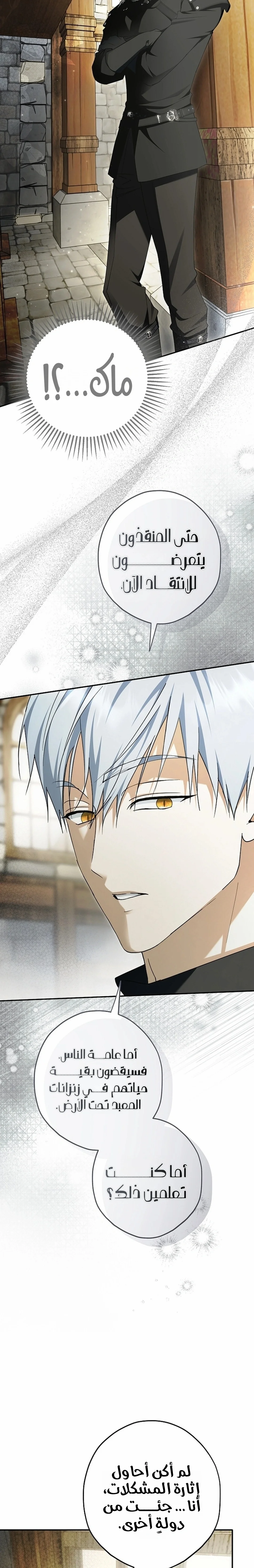 Read The Male Leads Were Stolen By The Extra AR Manga Online