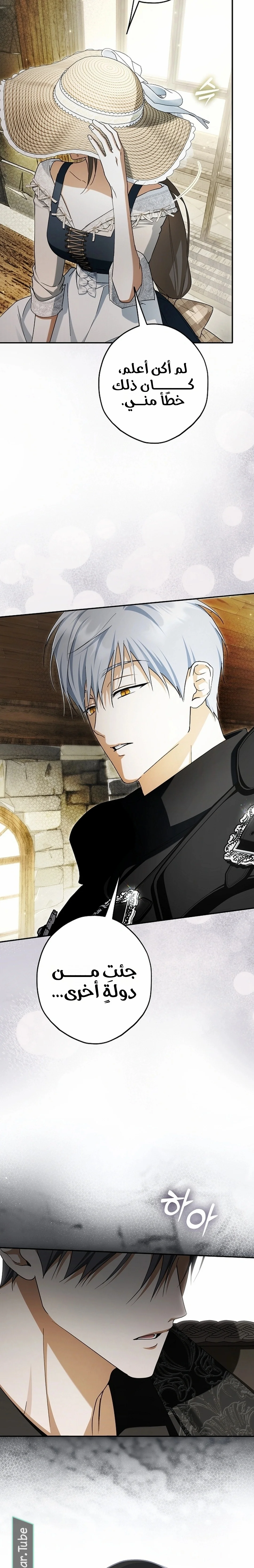 Read The Male Leads Were Stolen By The Extra AR Manga Online
