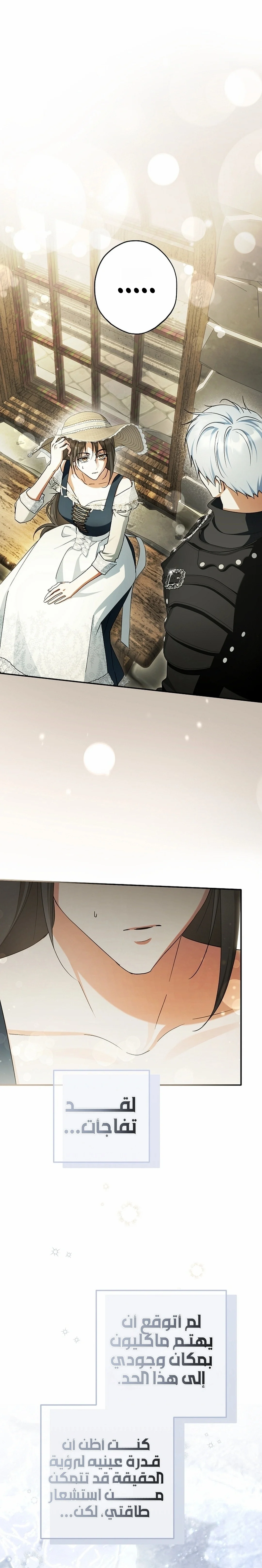 Read The Male Leads Were Stolen By The Extra AR Manga Online