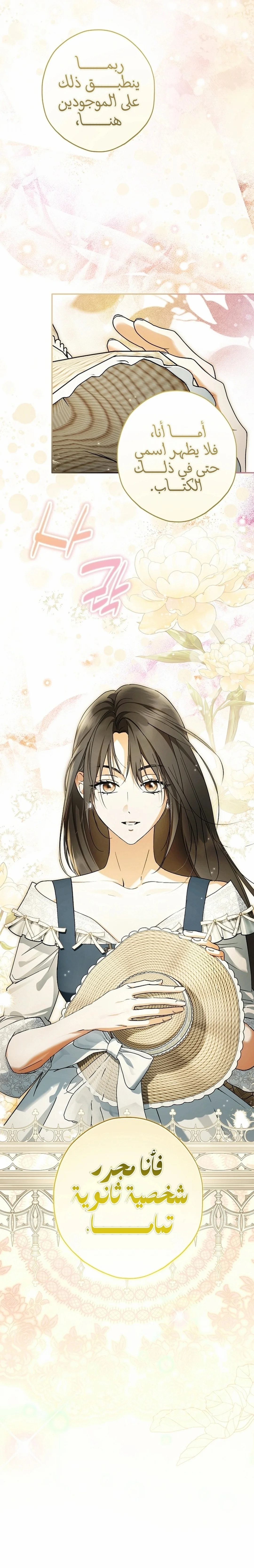 Read The Male Leads Were Stolen By The Extra AR Manga Online