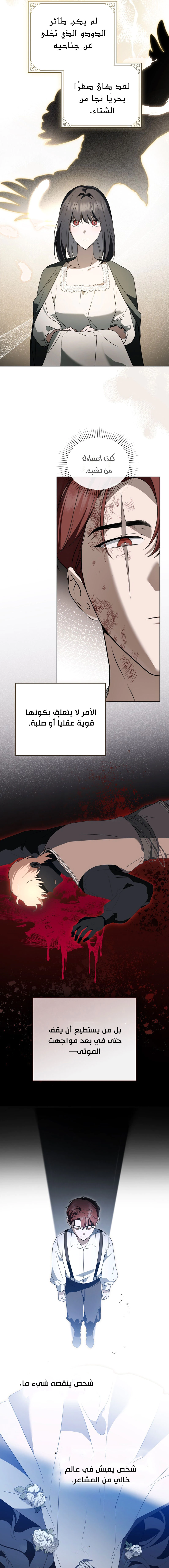 Read The Monster Lady and the Holy Knight AR Manga Online