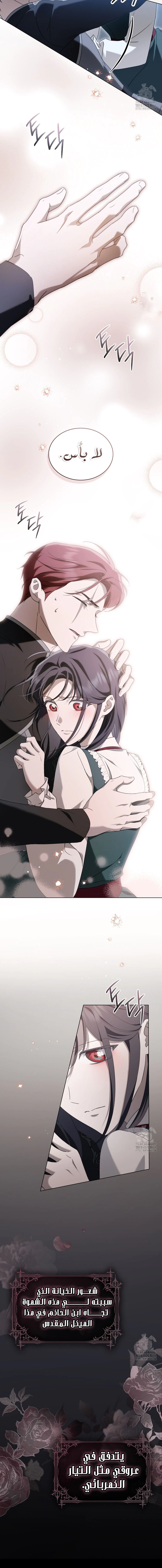 Read The Monster Lady and the Holy Knight AR Manga Online