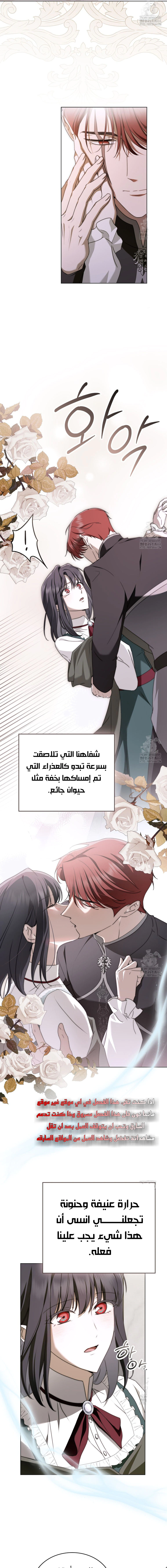 Read The Monster Lady and the Holy Knight AR Manga Online