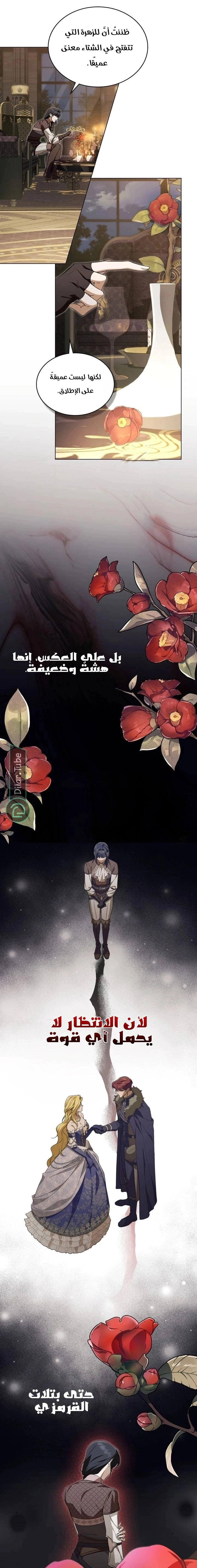 Read The Monster Lady and the Holy Knight AR Manga Online