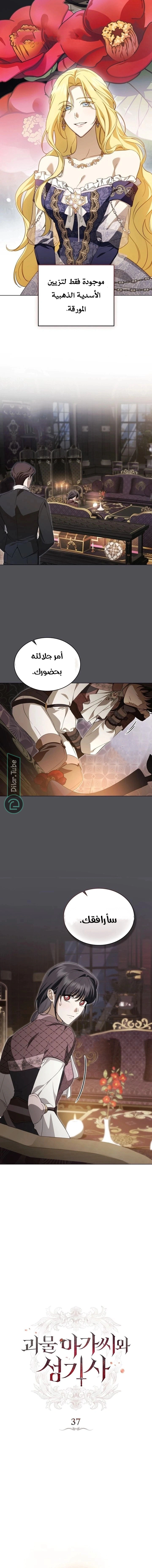 Read The Monster Lady and the Holy Knight AR Manga Online