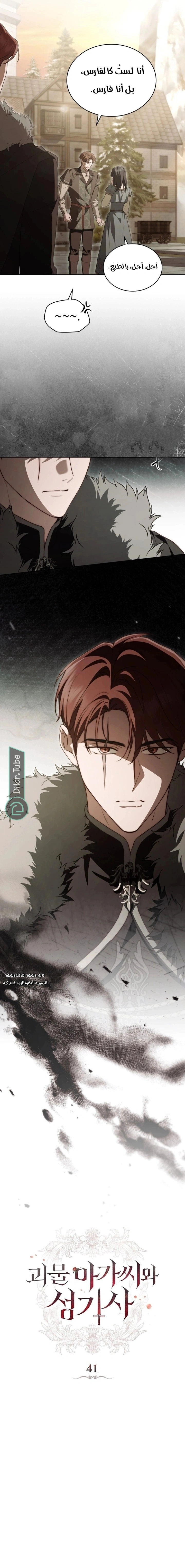 Read The Monster Lady and the Holy Knight AR Manga Online