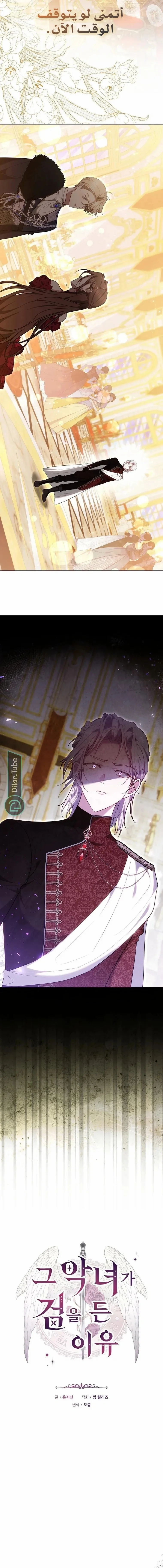 Read The Reason Why That Villainess Picked up a Sword AR Manga Online