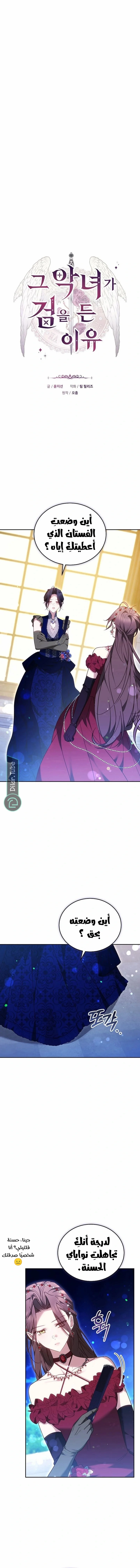 Read The Reason Why That Villainess Picked up a Sword AR Manga Online
