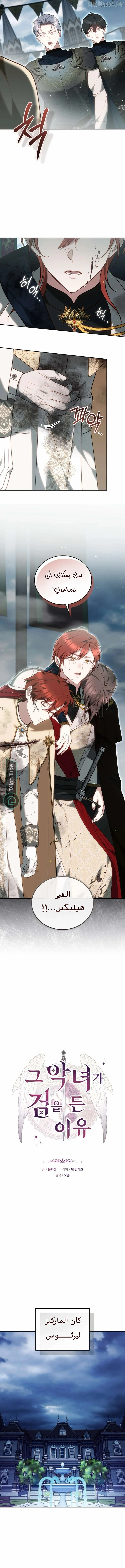 Read The Reason Why That Villainess Picked up a Sword AR Manga Online