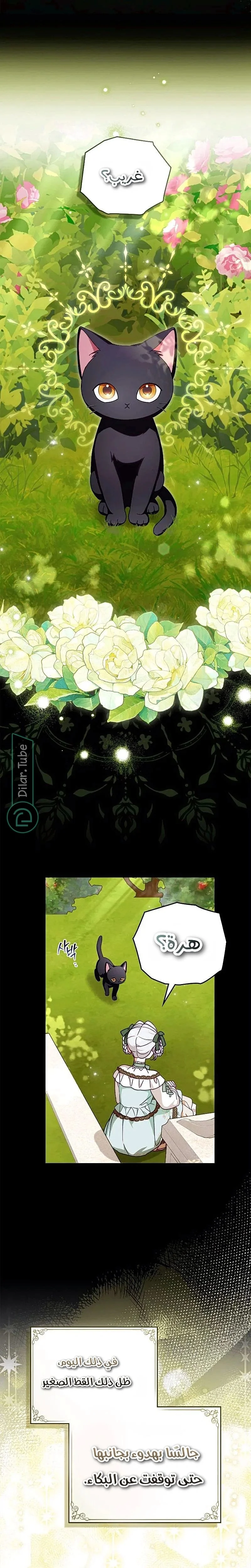 Read The Search for the Duchess’s Husband AR Manga Online