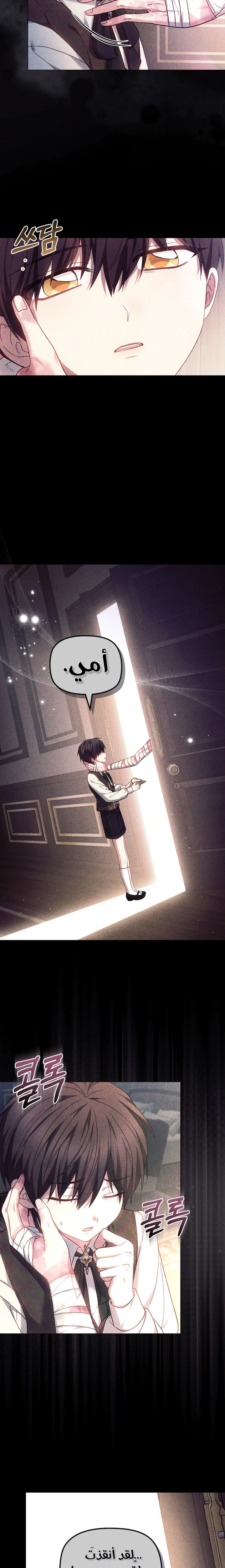Read The Super Strong Noble Lady Wants to Be Truly Weak AR Manga Online