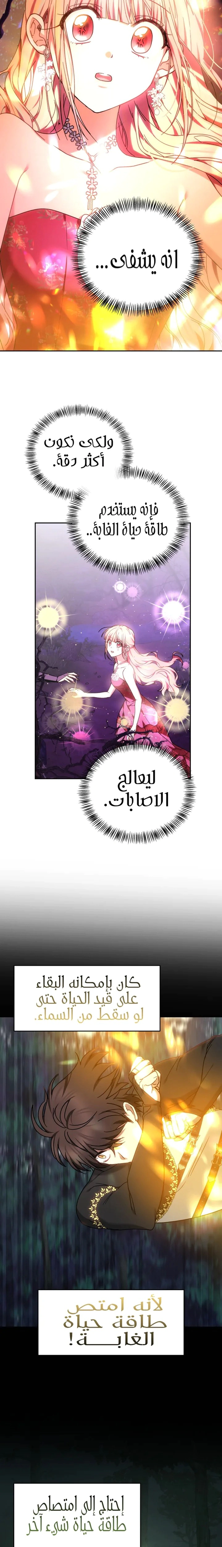 Read The Super Strong Noble Lady Wants to Be Truly Weak AR Manga Online