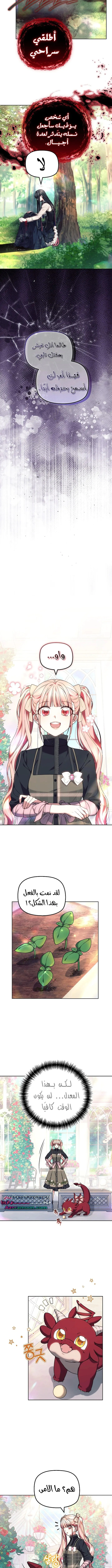 Read The Super Strong Noble Lady Wants to Be Truly Weak AR Manga Online