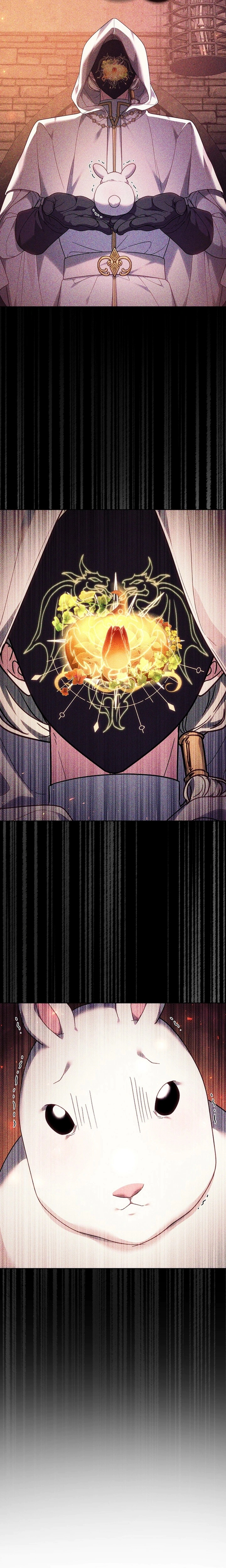 Read The Super Strong Noble Lady Wants to Be Truly Weak AR Manga Online