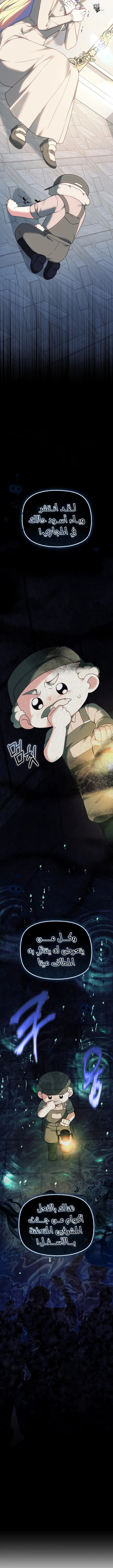 Read The Super Strong Noble Lady Wants to Be Truly Weak AR Manga Online