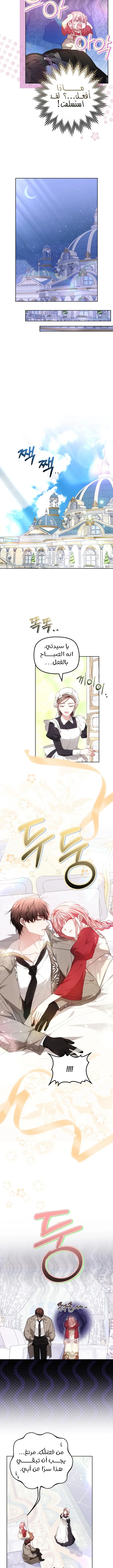 Read The Super Strong Noble Lady Wants to Be Truly Weak AR Manga Online