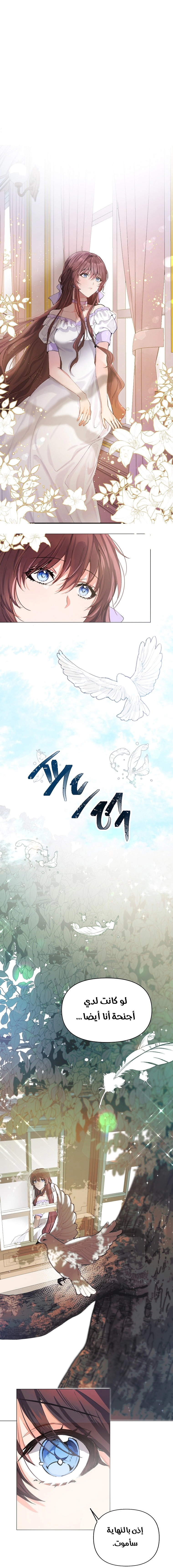 Read The Time of the Terminally Ill Extra AR Manga Online